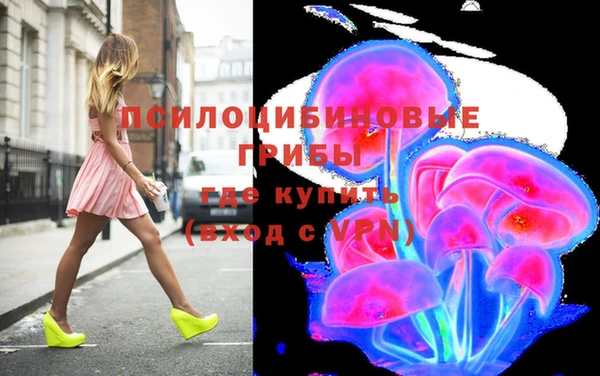 мет Пересвет