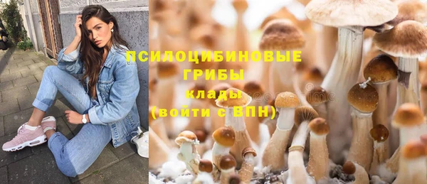 ПСИЛОЦИБИНОВЫЕ ГРИБЫ Арсеньев
