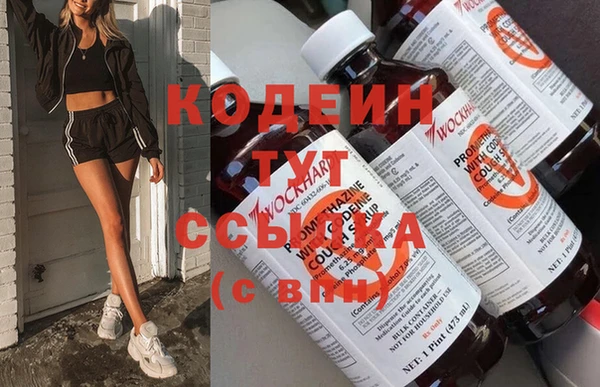 ПСИЛОЦИБИНОВЫЕ ГРИБЫ Арсеньев
