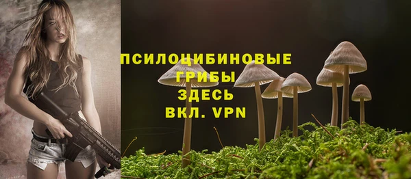 ПСИЛОЦИБИНОВЫЕ ГРИБЫ Арсеньев