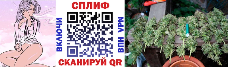 Конопля тримм  Калач 